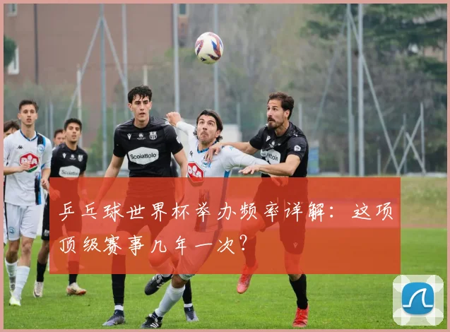乒乓球世界杯举办频率详解:这项顶级赛事几年一次?