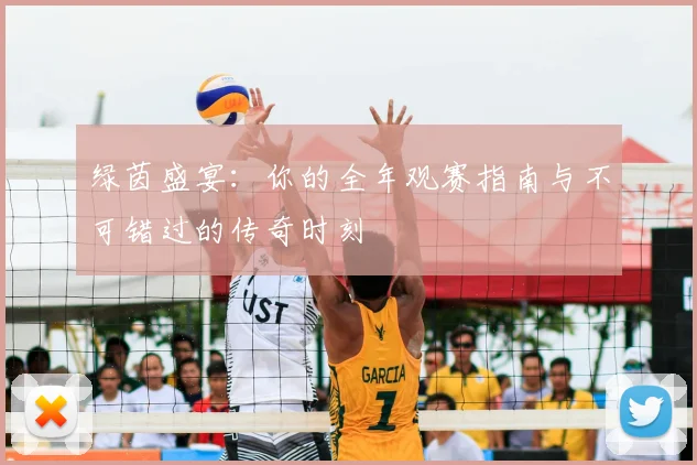 绿茵盛宴:你的全年观赛指南与不可错过的传奇时刻